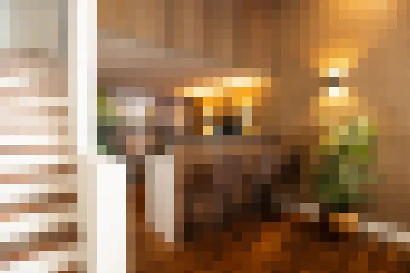 Vughterstraat 106 's-Hertogenbosch thumbnail 8