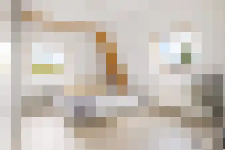 Vughterstraat 123 D 's-Hertogenbosch thumbnail 22