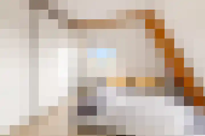 Vughterstraat 123 D 's-Hertogenbosch thumbnail 23
