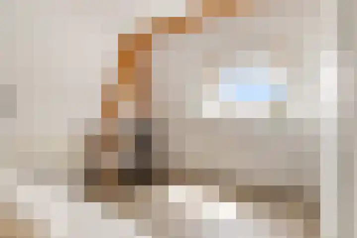 Vughterstraat 123 D 's-Hertogenbosch thumbnail 27