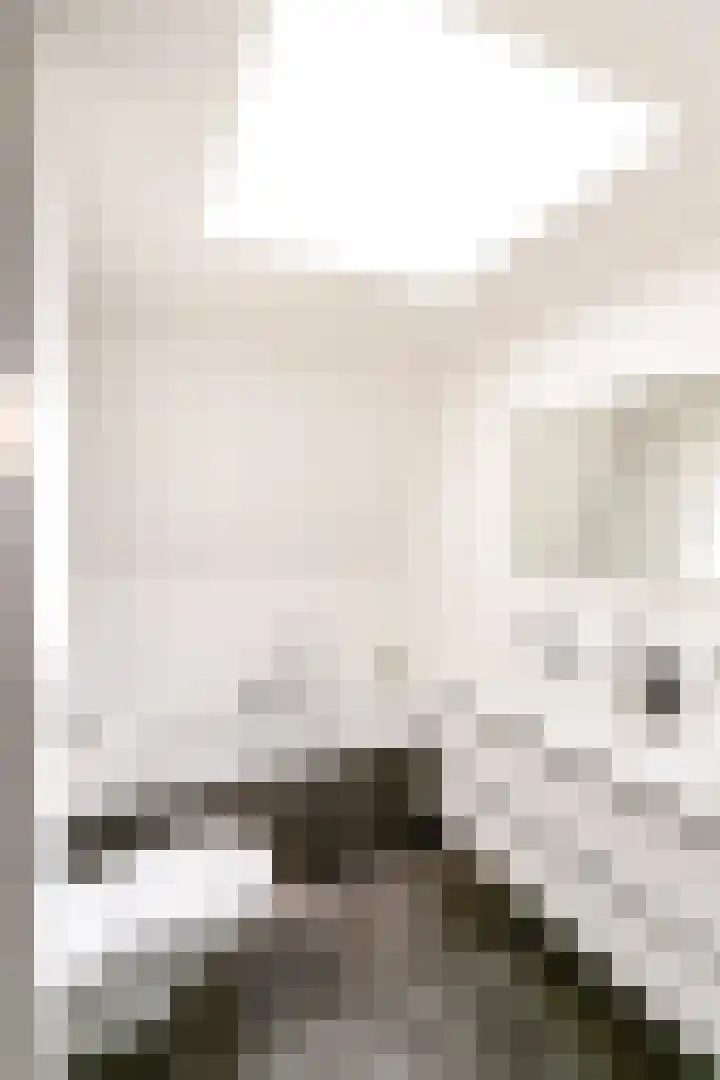 Vughterstraat 123 D 's-Hertogenbosch thumbnail 33
