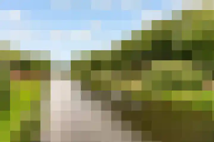 Vughterstraat 123 D 's-Hertogenbosch thumbnail 44