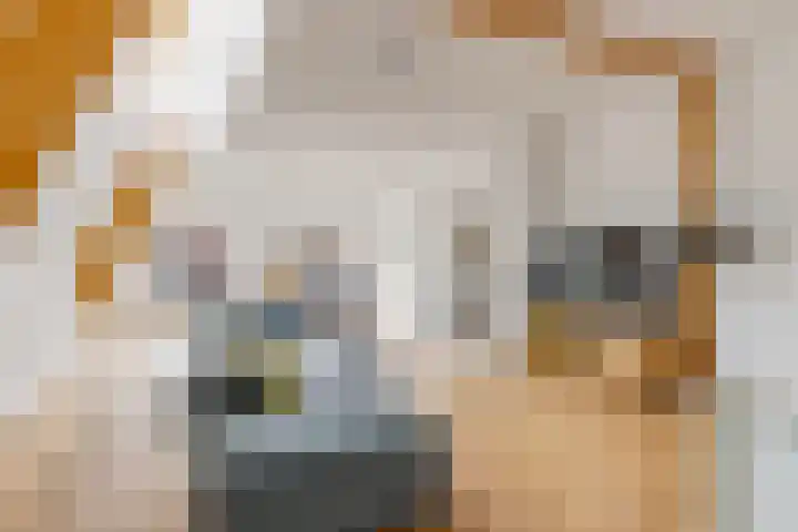 Vughterstraat 123 D 's-Hertogenbosch thumbnail 5