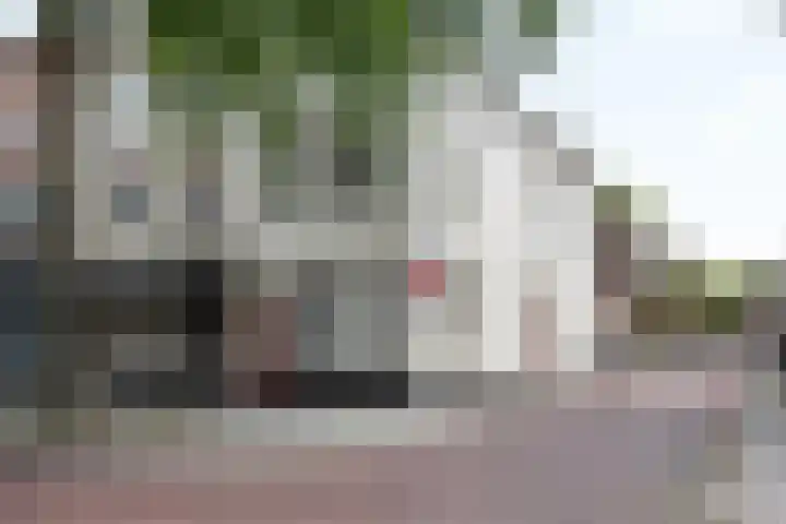 Vughterstraat 144 's-Hertogenbosch thumbnail 22