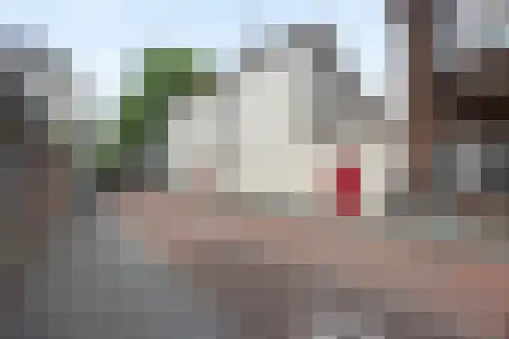 Vughterstraat 144 's-Hertogenbosch thumbnail 23
