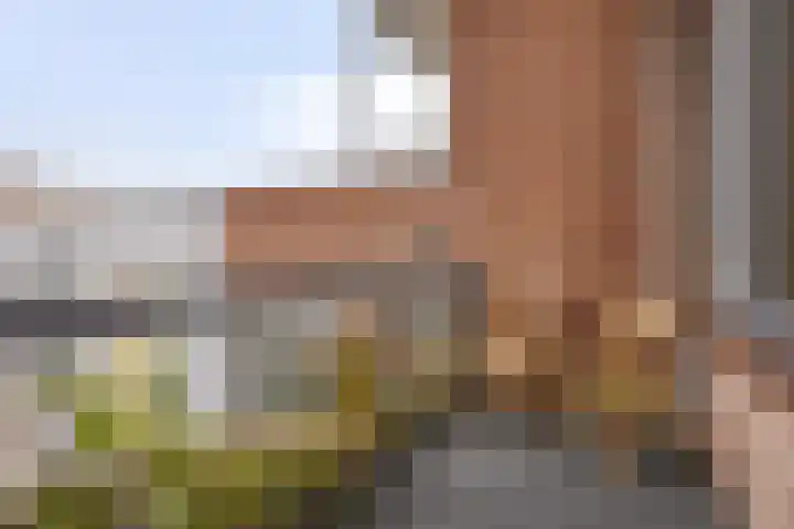 Vughterstraat 159 's-Hertogenbosch thumbnail 9