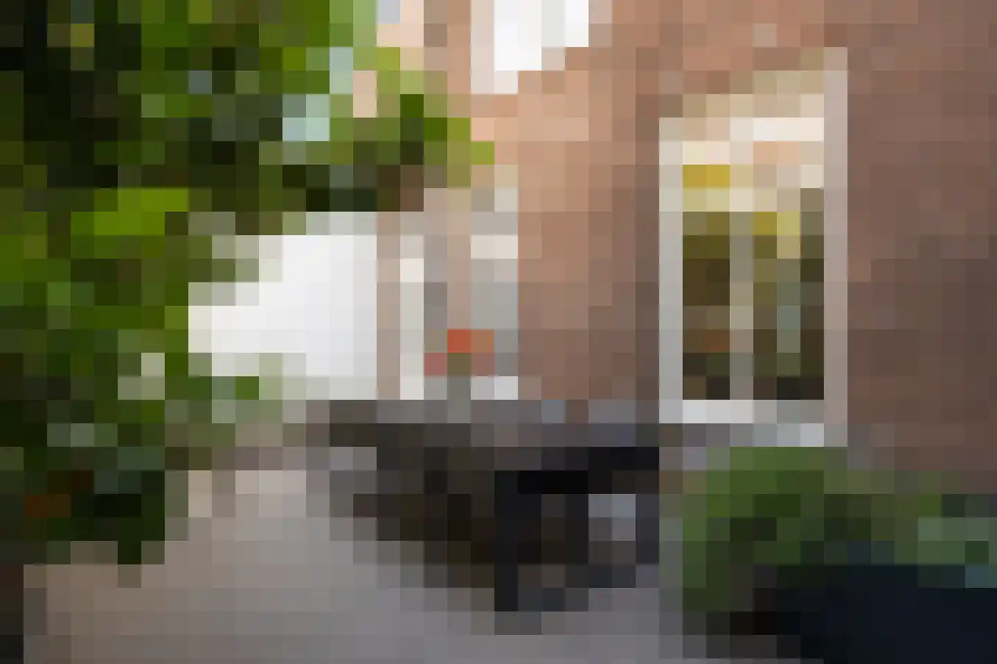 Vughterstraat 175 's-Hertogenbosch thumbnail 16