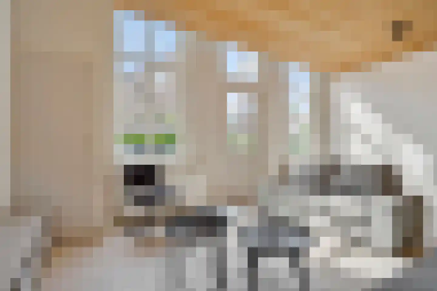 Vughterstraat 182 's-Hertogenbosch thumbnail 14