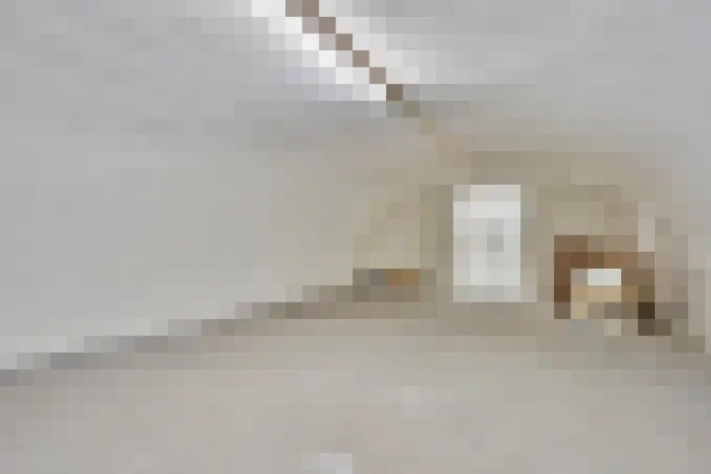 Vughterstraat 182 's-Hertogenbosch thumbnail 32