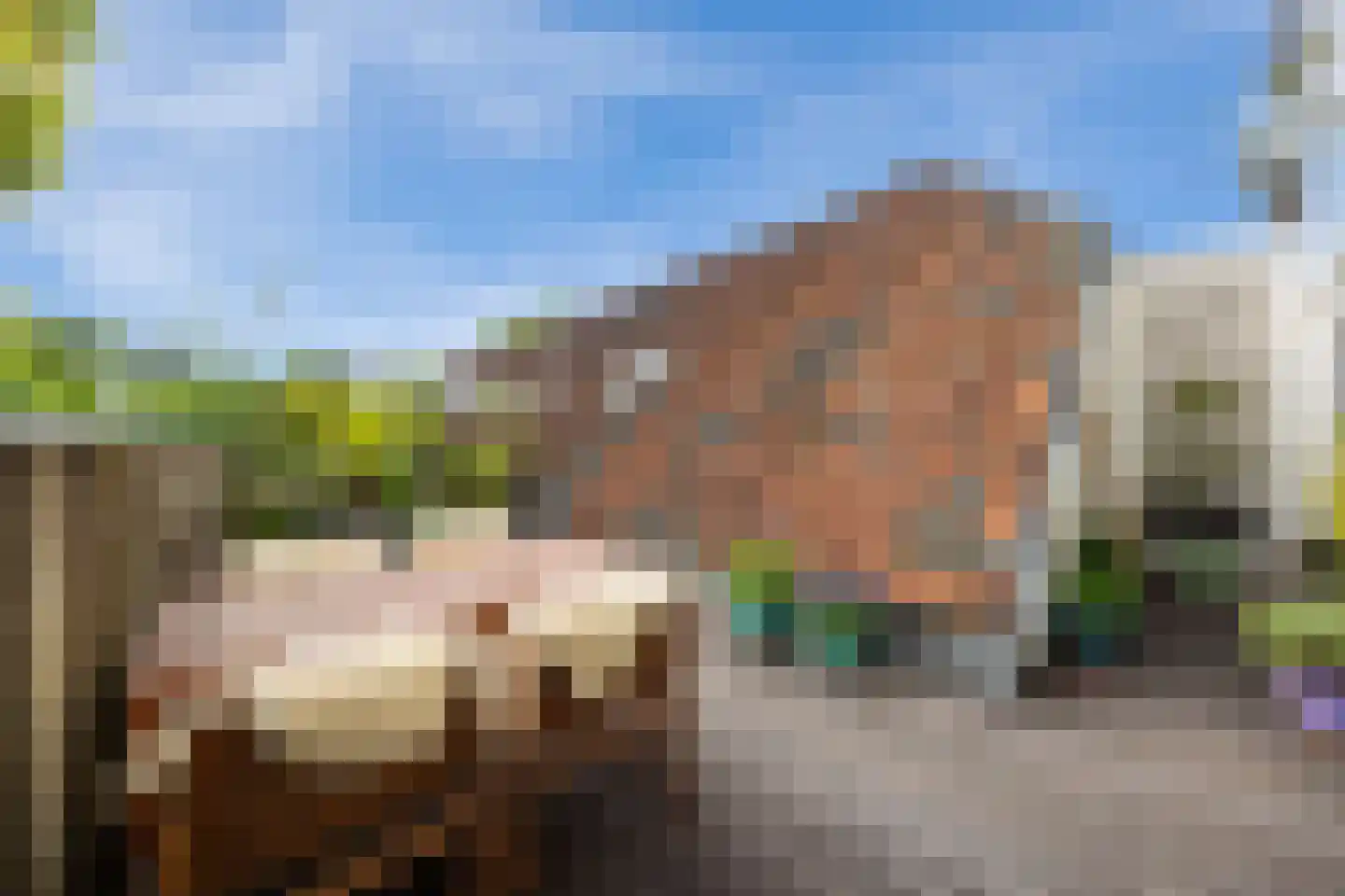 Vughterstraat 200 's-Hertogenbosch thumbnail 28