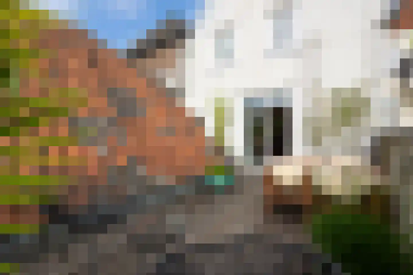 Vughterstraat 200 's-Hertogenbosch thumbnail 29