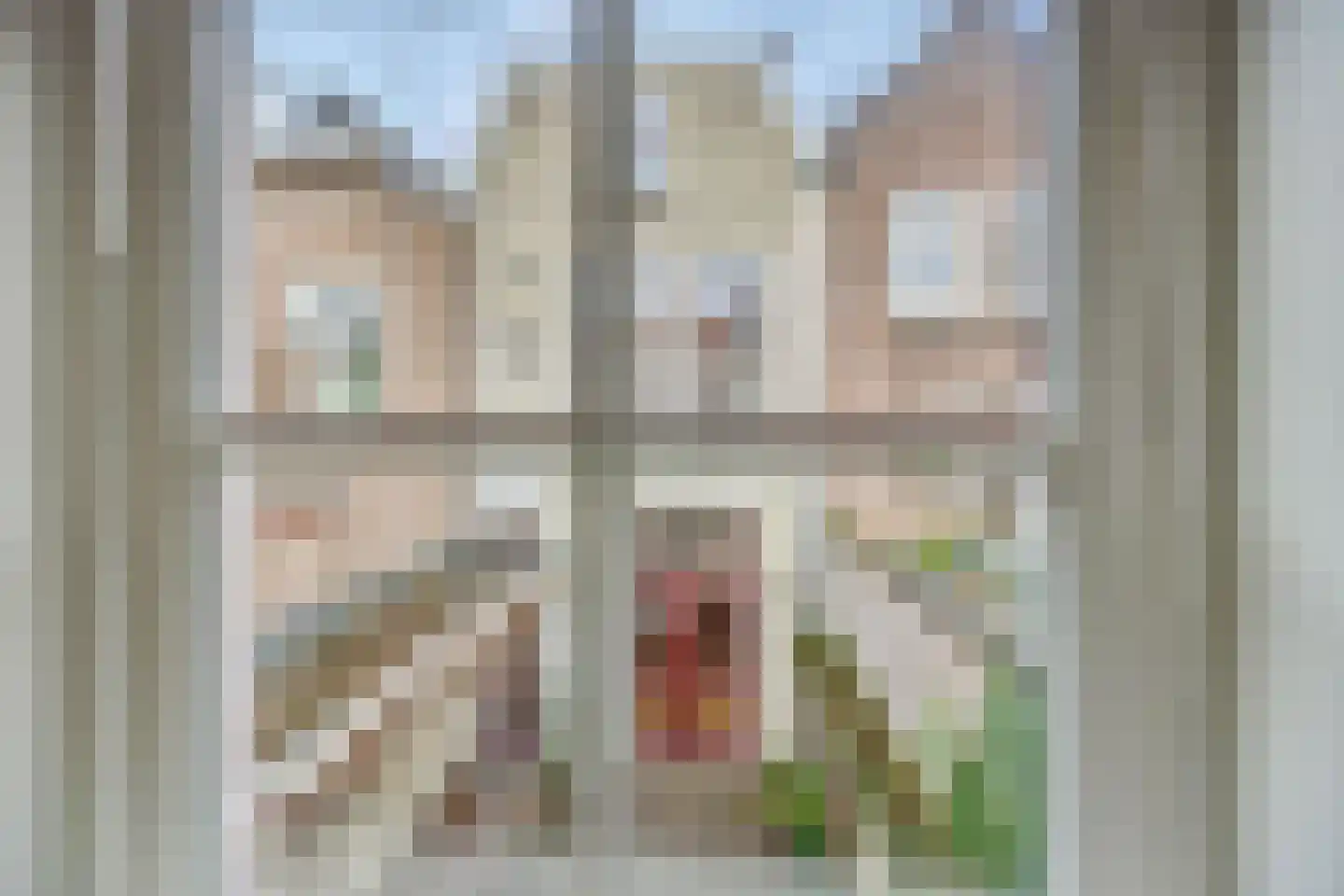 Vughterstraat 203 's-Hertogenbosch thumbnail 22
