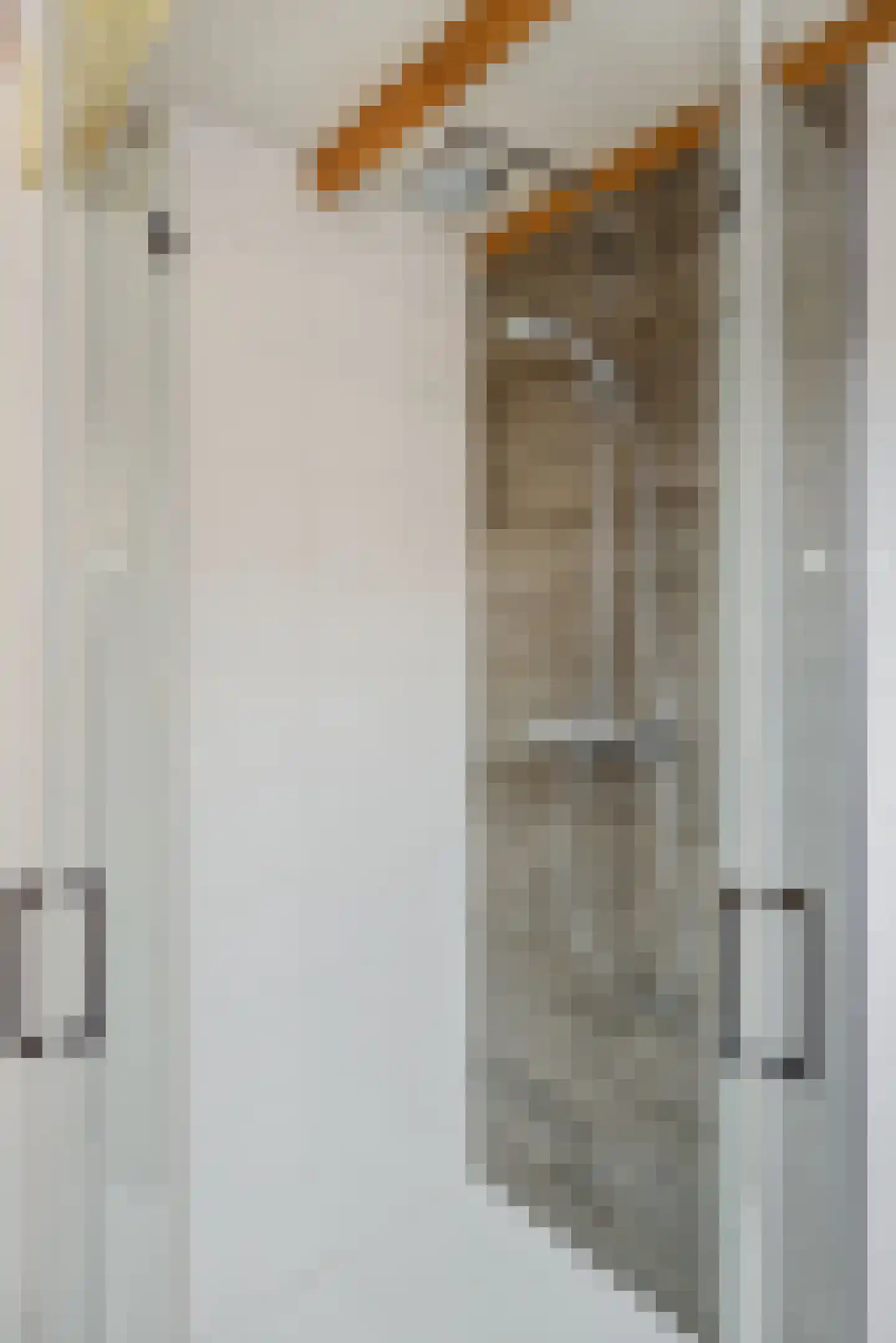 Vughterstraat 203 's-Hertogenbosch thumbnail 30