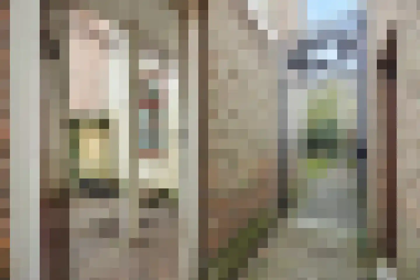 Vughterstraat 203 's-Hertogenbosch thumbnail 31
