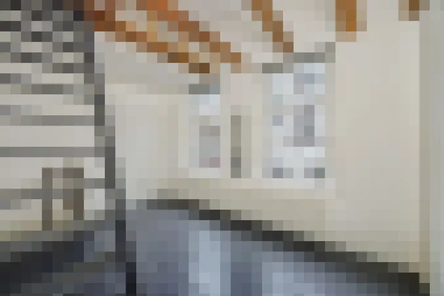 Vughterstraat 203 's-Hertogenbosch thumbnail 36