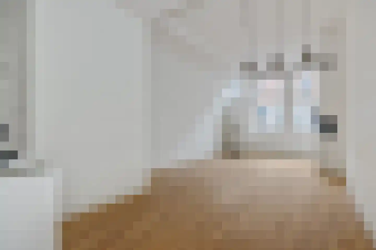 Vughterstraat 203 's-Hertogenbosch thumbnail 5