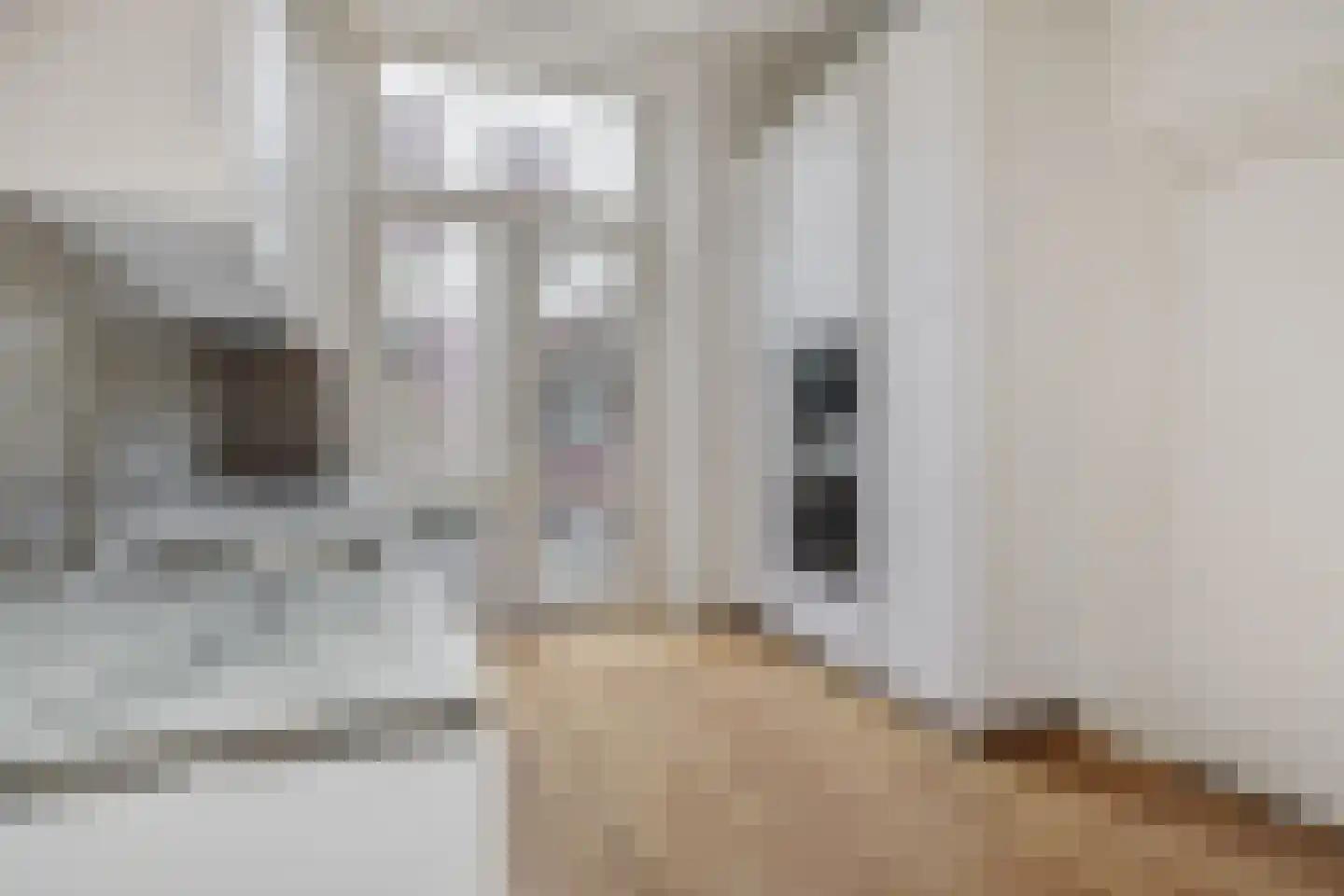 Vughterstraat 203 's-Hertogenbosch thumbnail 7