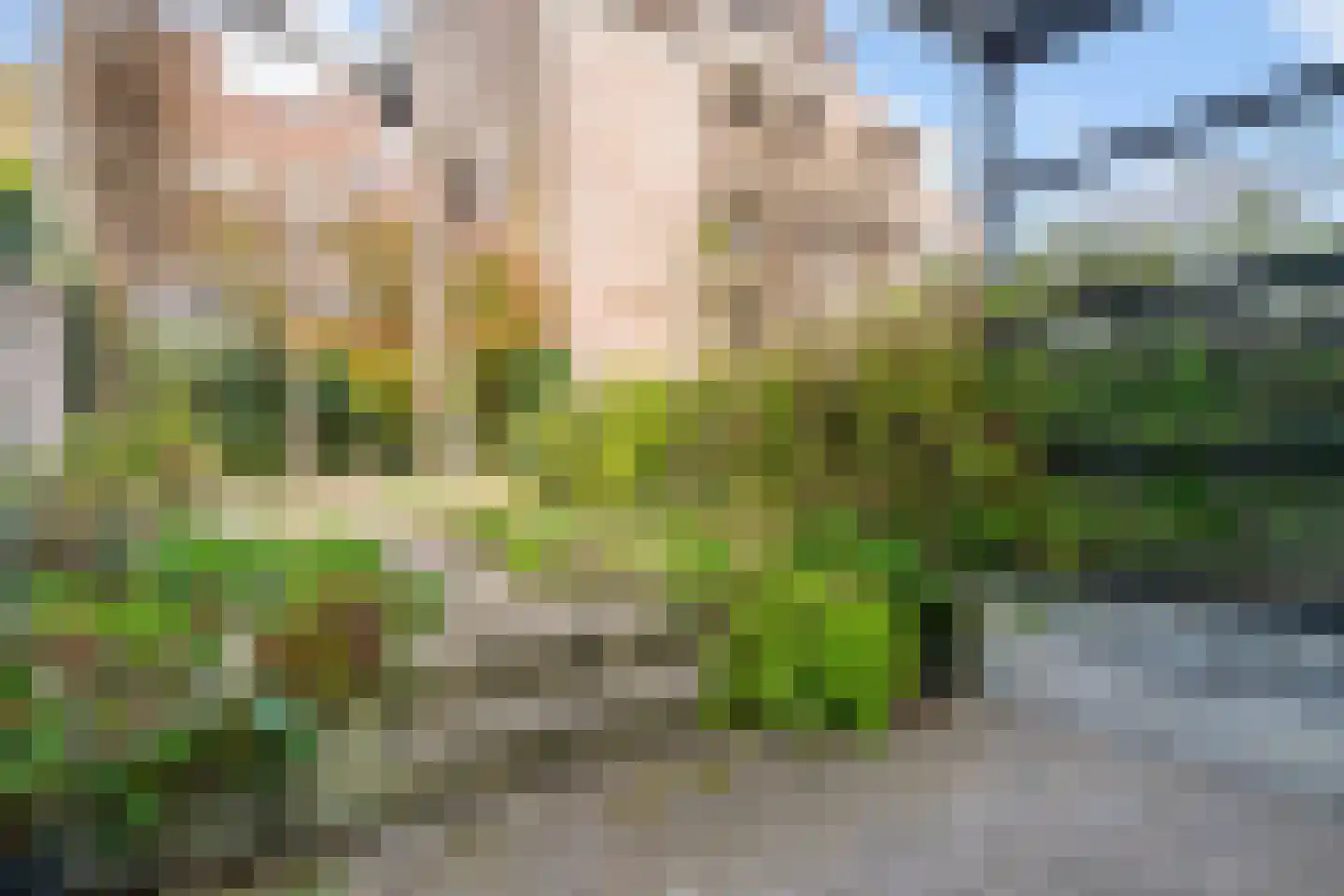 Vughterstraat 223 's-Hertogenbosch thumbnail 22