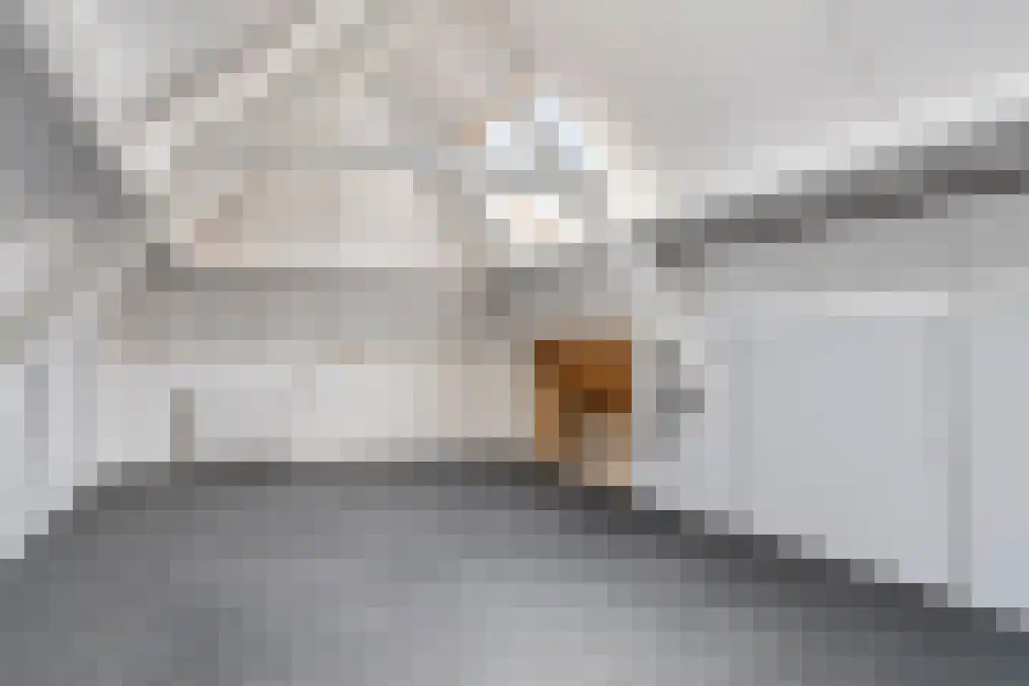 Vughterstraat 223 's-Hertogenbosch thumbnail 36
