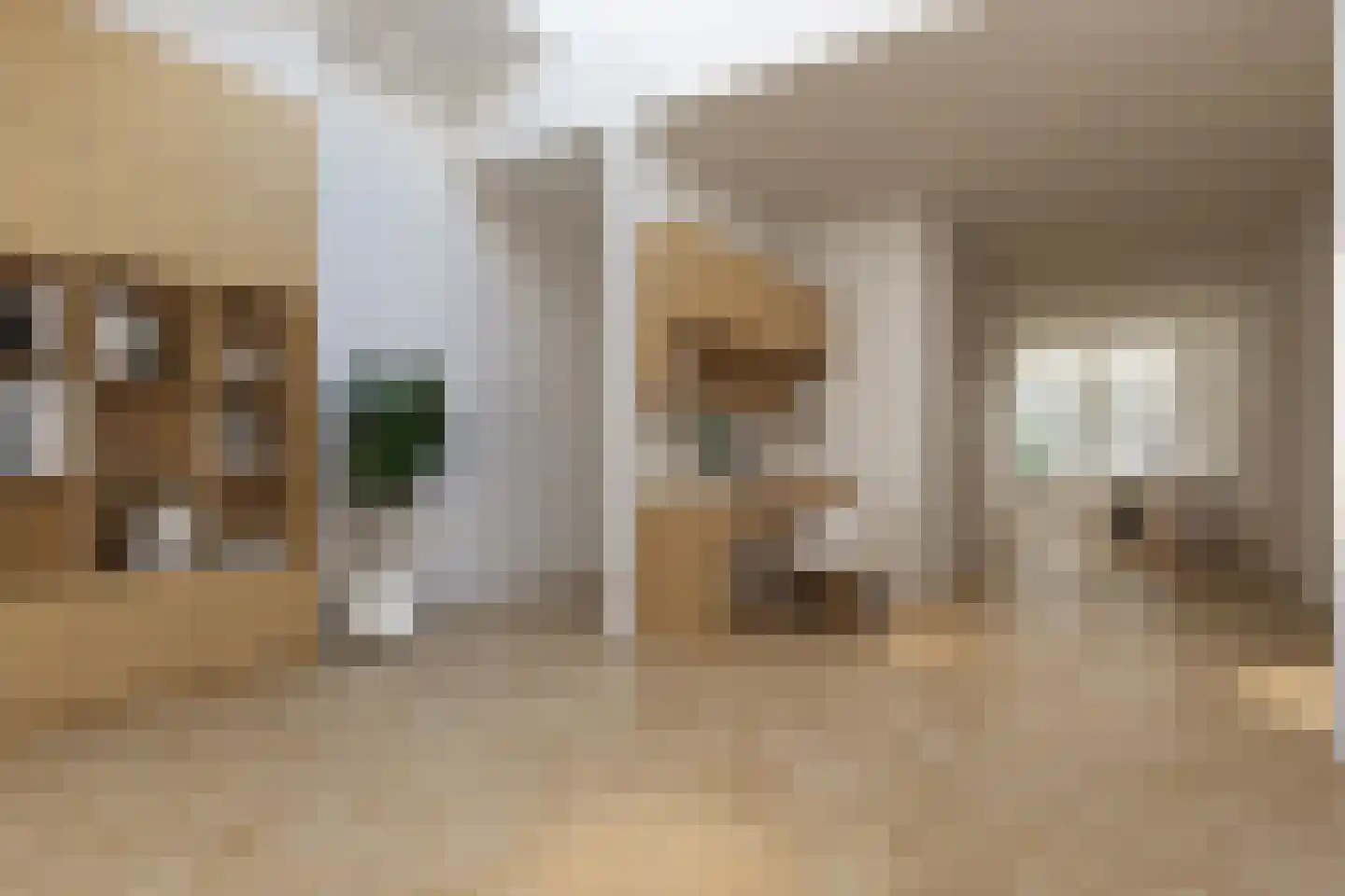 Vughterstraat 223 's-Hertogenbosch thumbnail 8