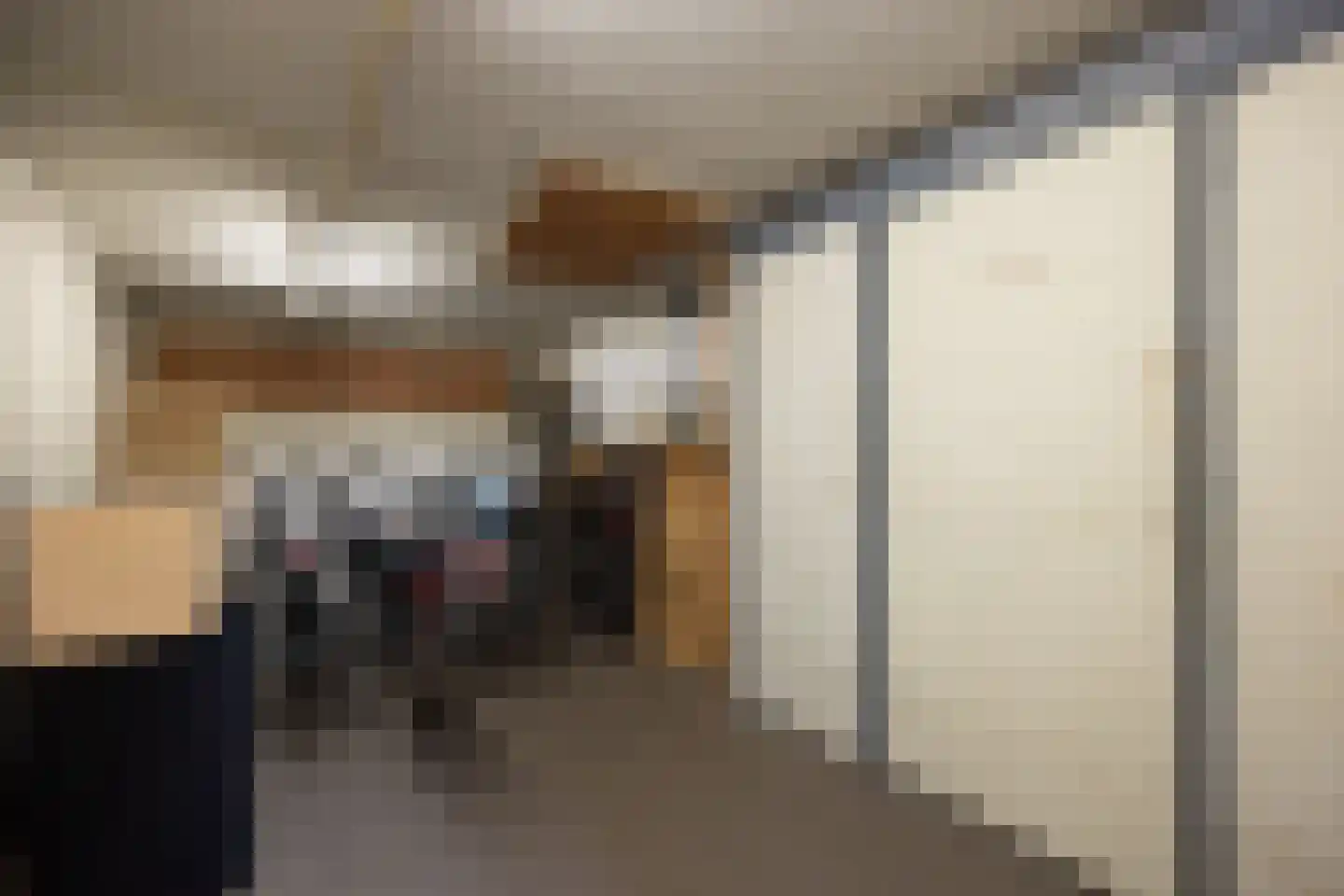 Vughterstraat 303 's-Hertogenbosch thumbnail 39