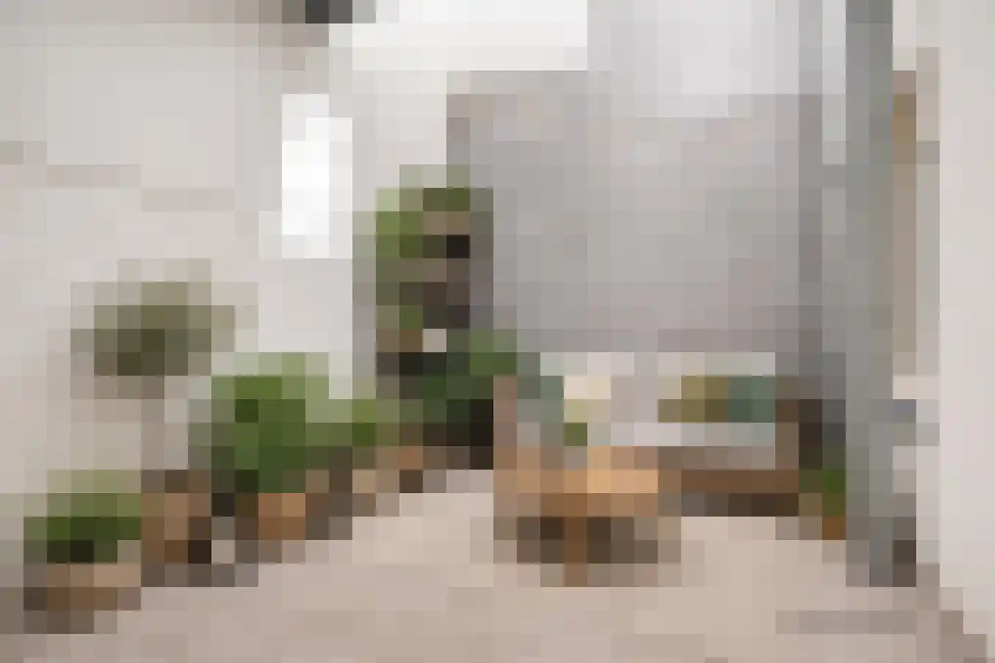 Vughterstraat 42 's-Hertogenbosch thumbnail 15