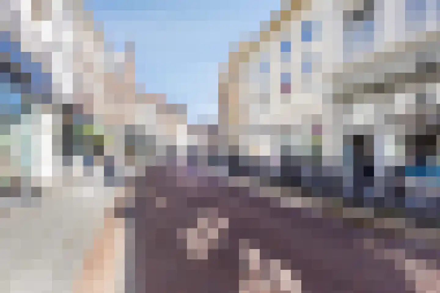 Vughterstraat 42 's-Hertogenbosch thumbnail 21