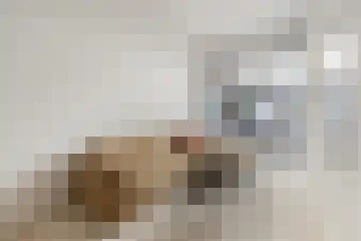Vughterstraat 42 's-Hertogenbosch thumbnail 4