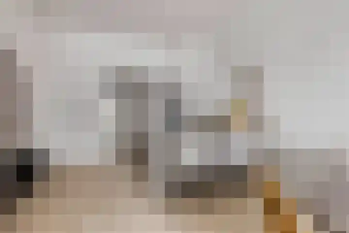 Vughterstraat 42 's-Hertogenbosch thumbnail 6