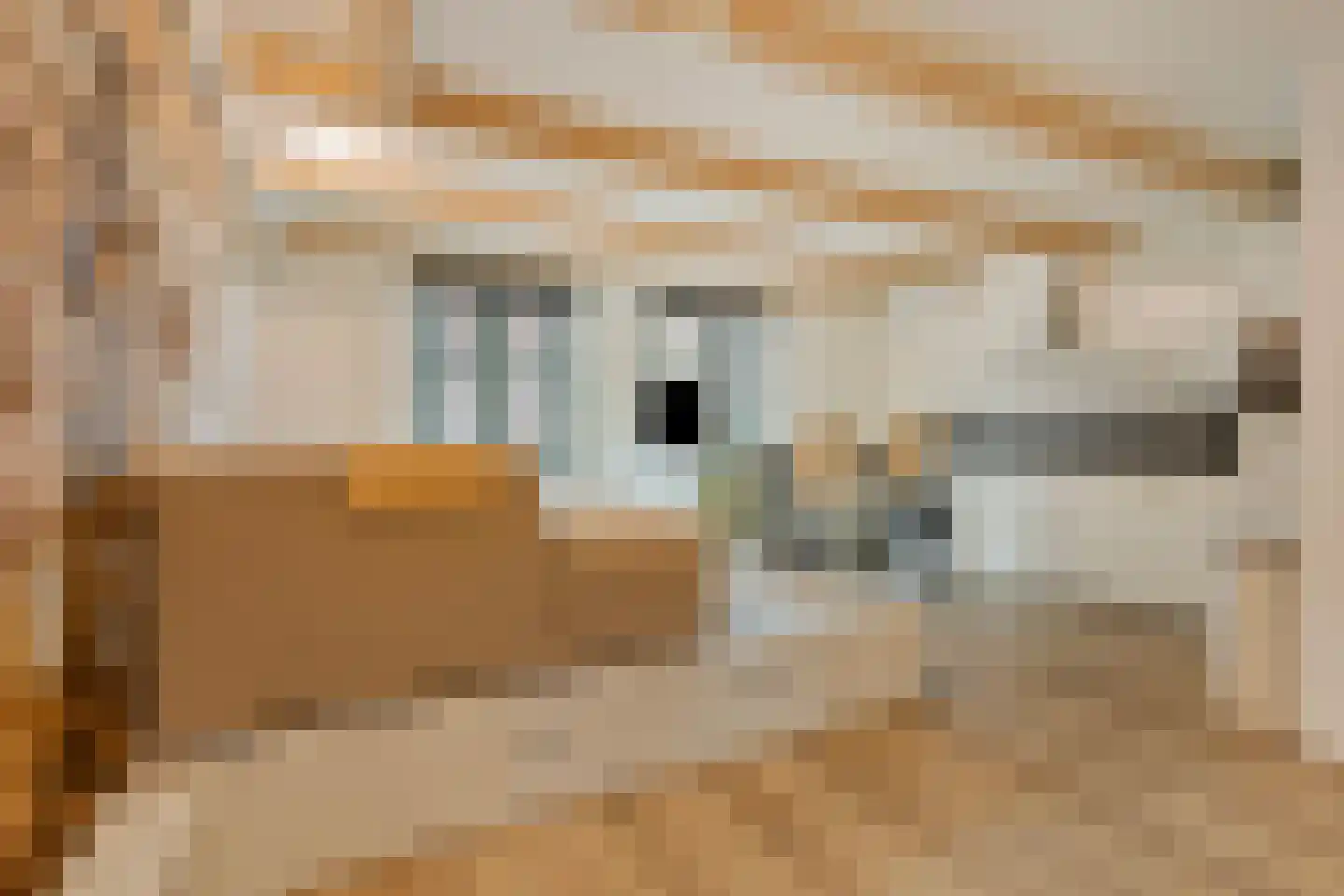 Vughterstraat 97 C 's-Hertogenbosch thumbnail 10