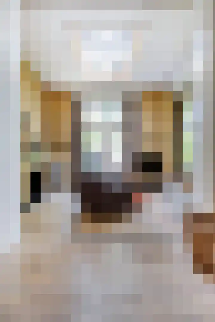 Vughtstraat 10 Roosendaal thumbnail 32