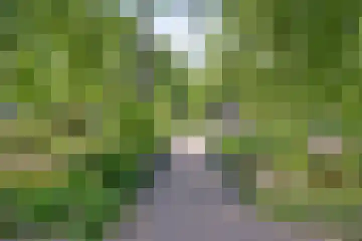 Vughtstraat 10 Roosendaal thumbnail 81