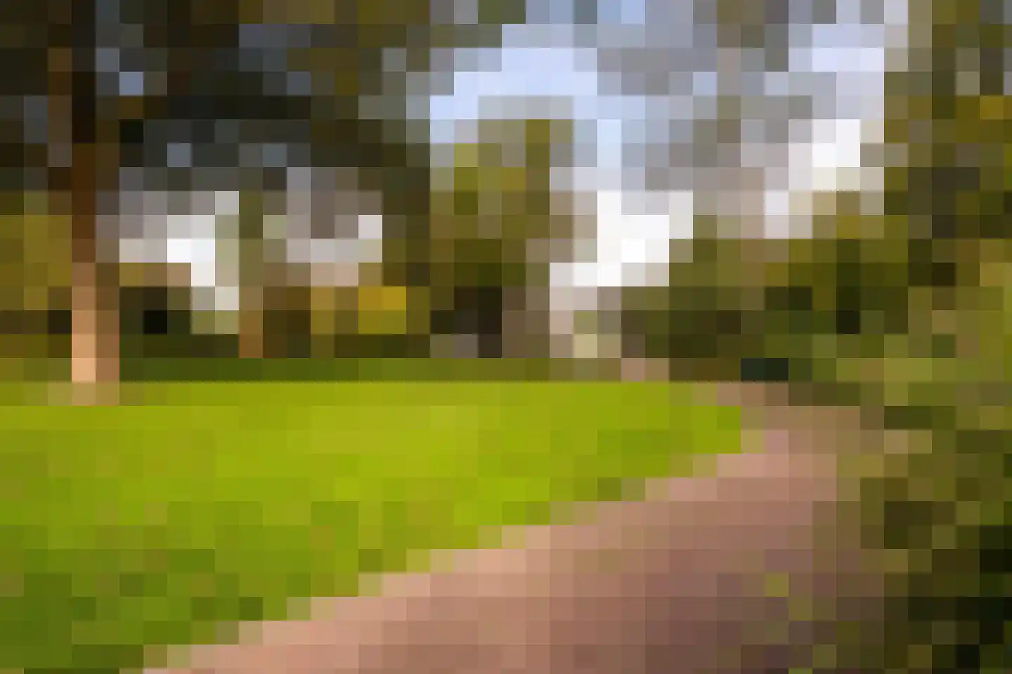 Vughtstraat 19 Roosendaal thumbnail 10