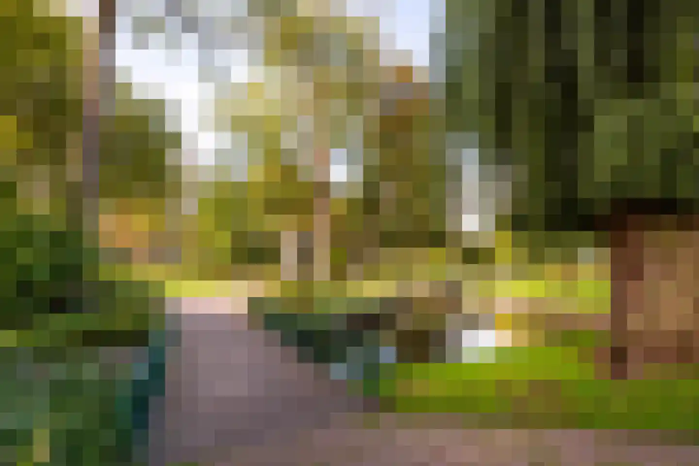 Vughtstraat 19 Roosendaal thumbnail 12