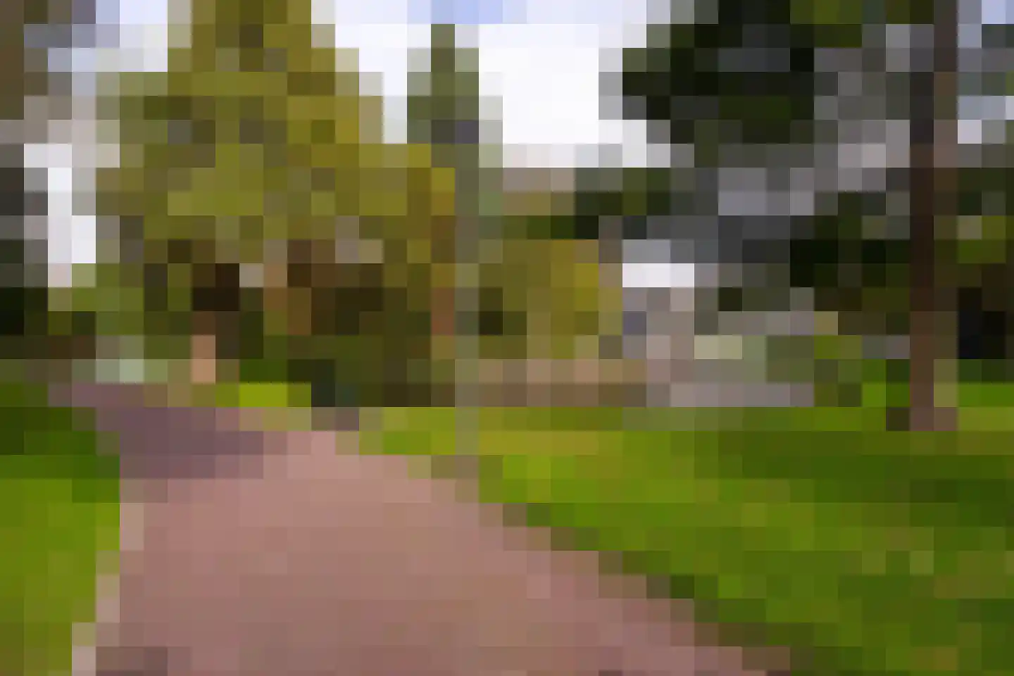 Vughtstraat 19 Roosendaal thumbnail 9
