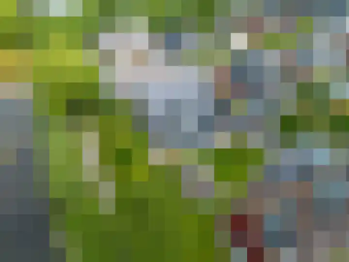 Vuile Riete 25 Linde thumbnail 16