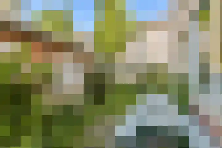 Vuile Riete 25 Linde thumbnail 27