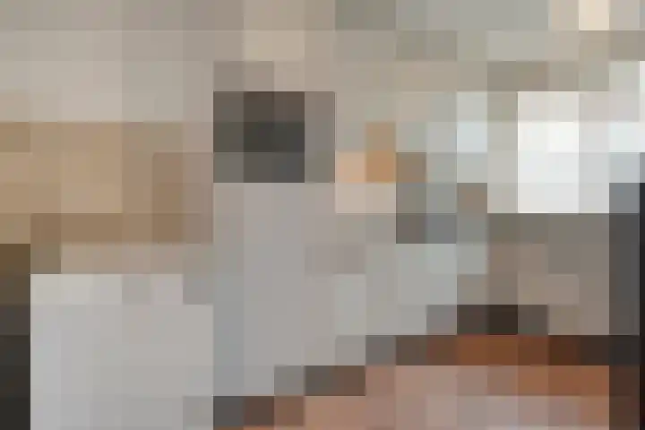Vuile Riete 25 Linde thumbnail 29