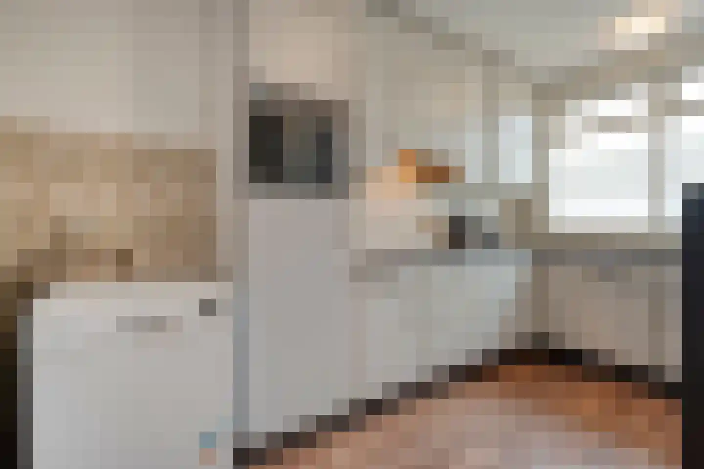 Vuile Riete 25 Linde thumbnail 29