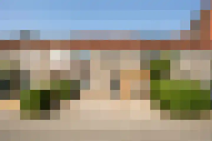 Vuile Riete 25 Linde thumbnail 45