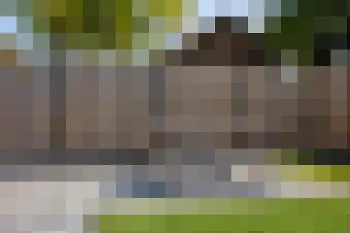 Vuile Riete 25 Linde thumbnail 47
