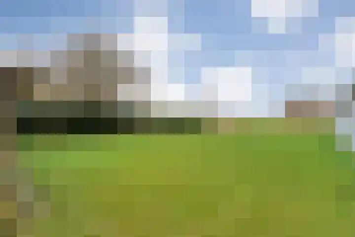 Vuile Riete 25 Linde thumbnail 49