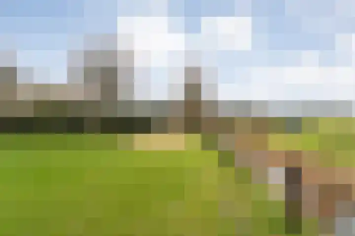 Vuile Riete 25 Linde thumbnail 53