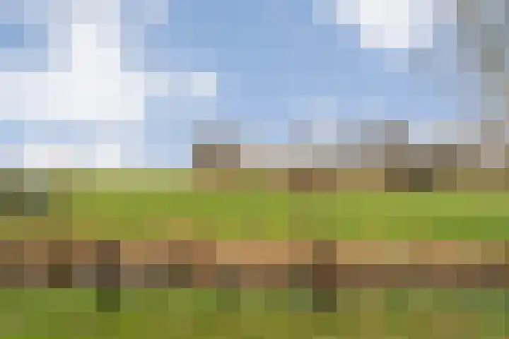 Vuile Riete 25 Linde thumbnail 55