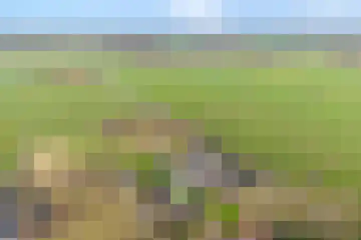 Vuile Riete 25 Linde thumbnail 8
