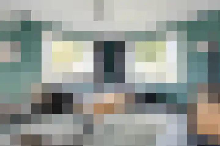 Vuile Riete 4 Linde thumbnail 10