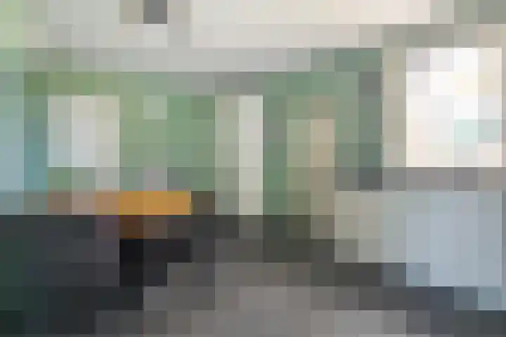 Vuile Riete 4 Linde thumbnail 17