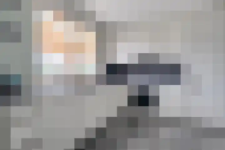 Vuile Riete 4 Linde thumbnail 19