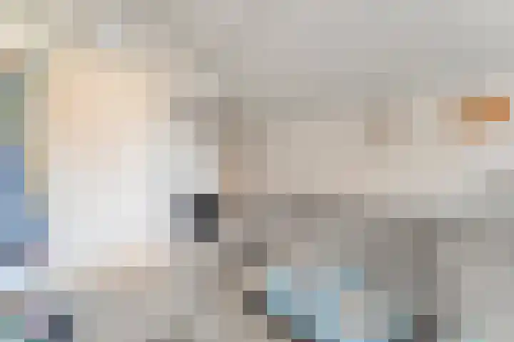 Vuile Riete 4 Linde thumbnail 21