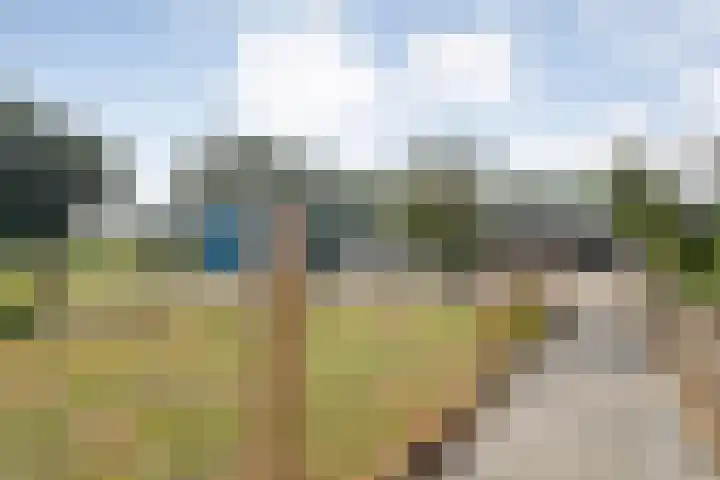 Vuile Riete 4 Linde thumbnail 38